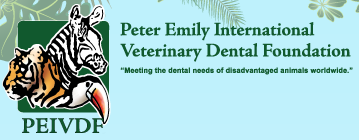 Logo der Peter Emily International Veterinary Dental Foundation