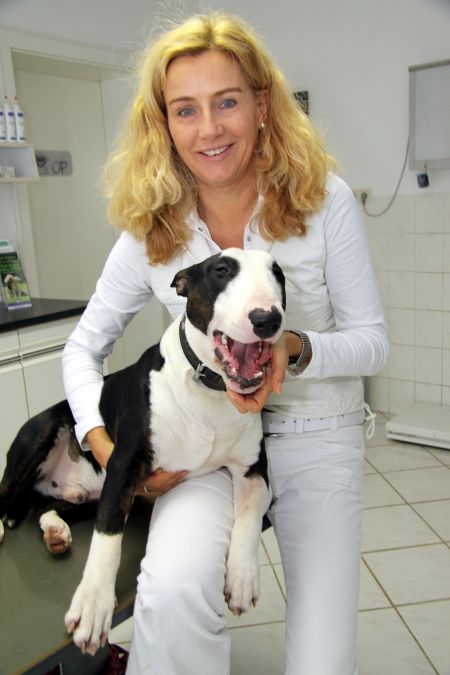 Dr. Birnzain mit behandeltem Bullterrier auf dem Schoß