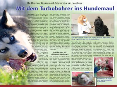 Miniatur des Artikels 'Mit dem Turbobohrer ins Hundemaul' aus Tassilo 33